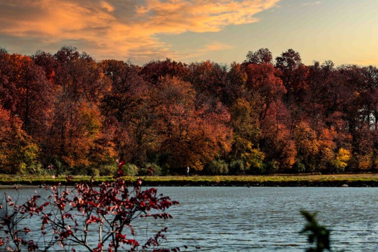 Fall scene by lake