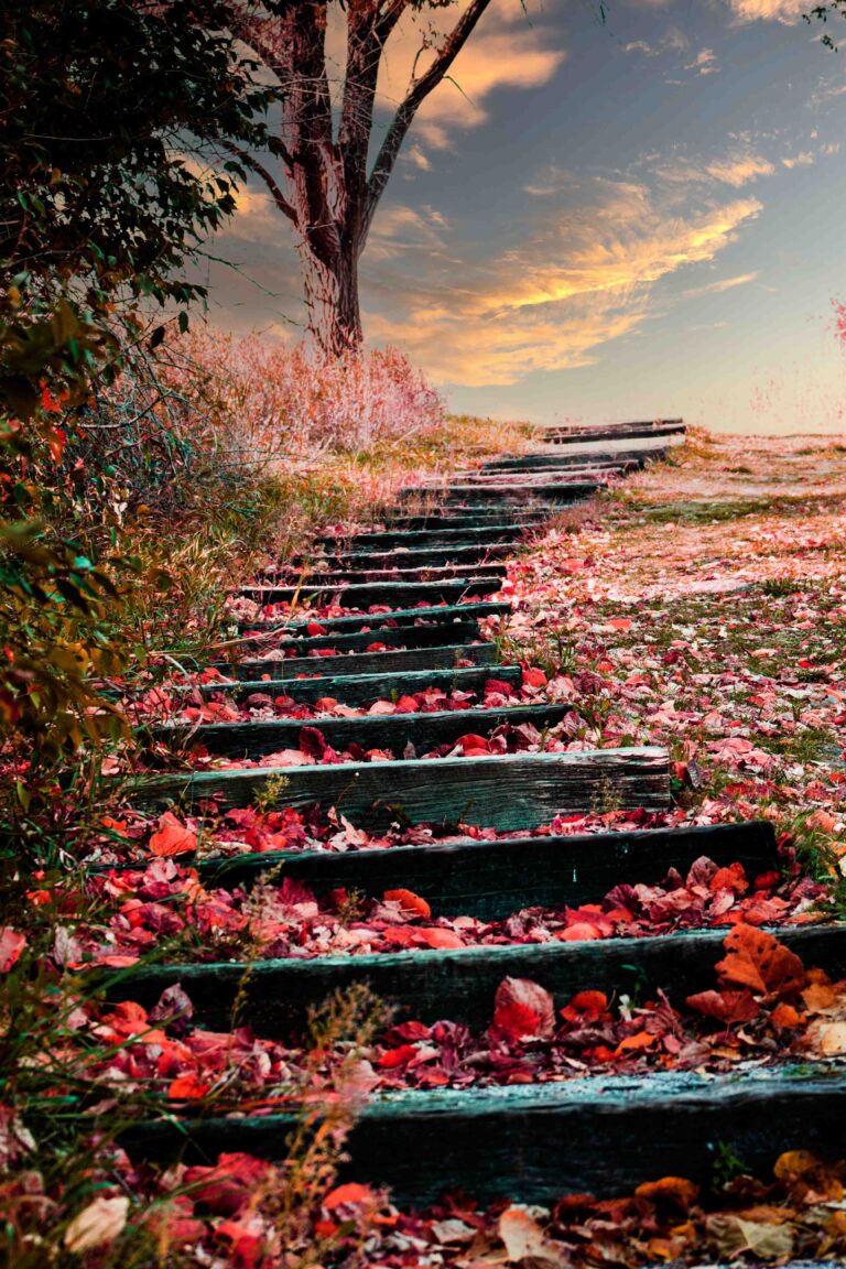 Steps with leaves